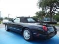 Evening Black - Thunderbird Premium Roadster Photo No. 3