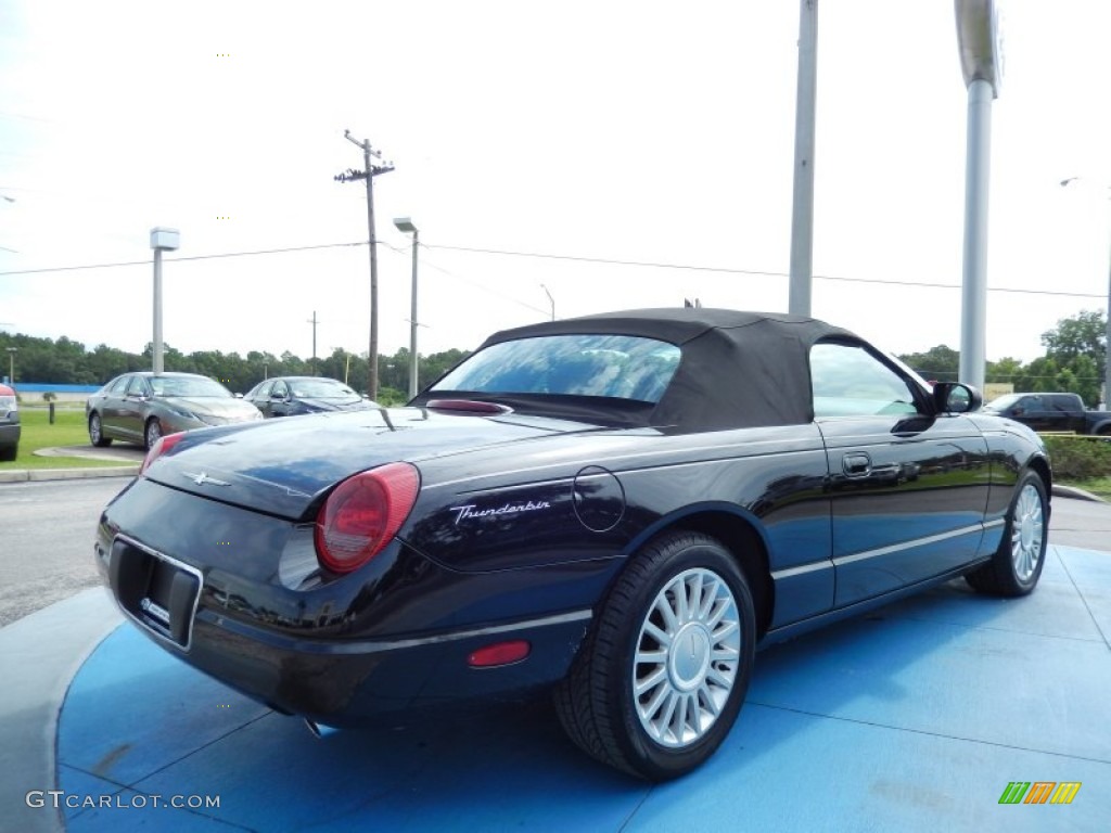 2005 Thunderbird Premium Roadster - Evening Black / Black Ink photo #5