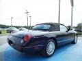 Evening Black - Thunderbird Premium Roadster Photo No. 5