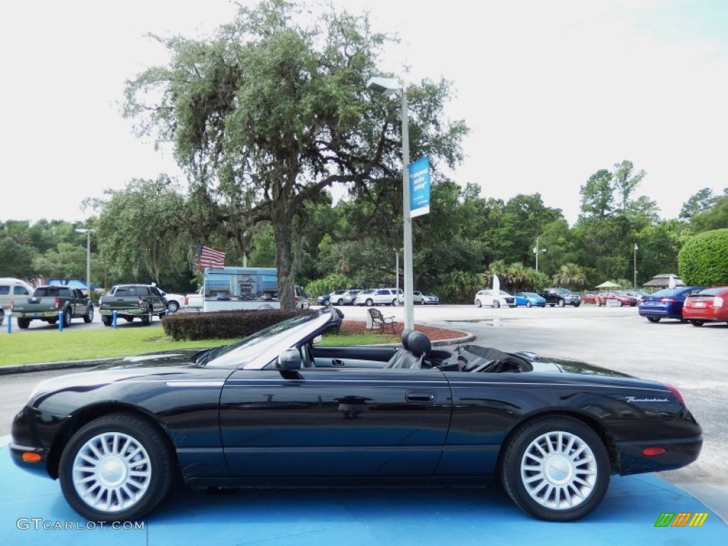 2005 Thunderbird Premium Roadster - Evening Black / Black Ink photo #11