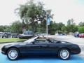 Evening Black - Thunderbird Premium Roadster Photo No. 11