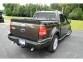 Stone Green Metallic - Explorer Sport Trac Limited Photo No. 5