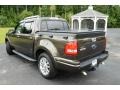 Stone Green Metallic - Explorer Sport Trac Limited Photo No. 8