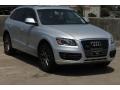 Ice Silver Metallic - Q5 2.0T quattro Photo No. 1