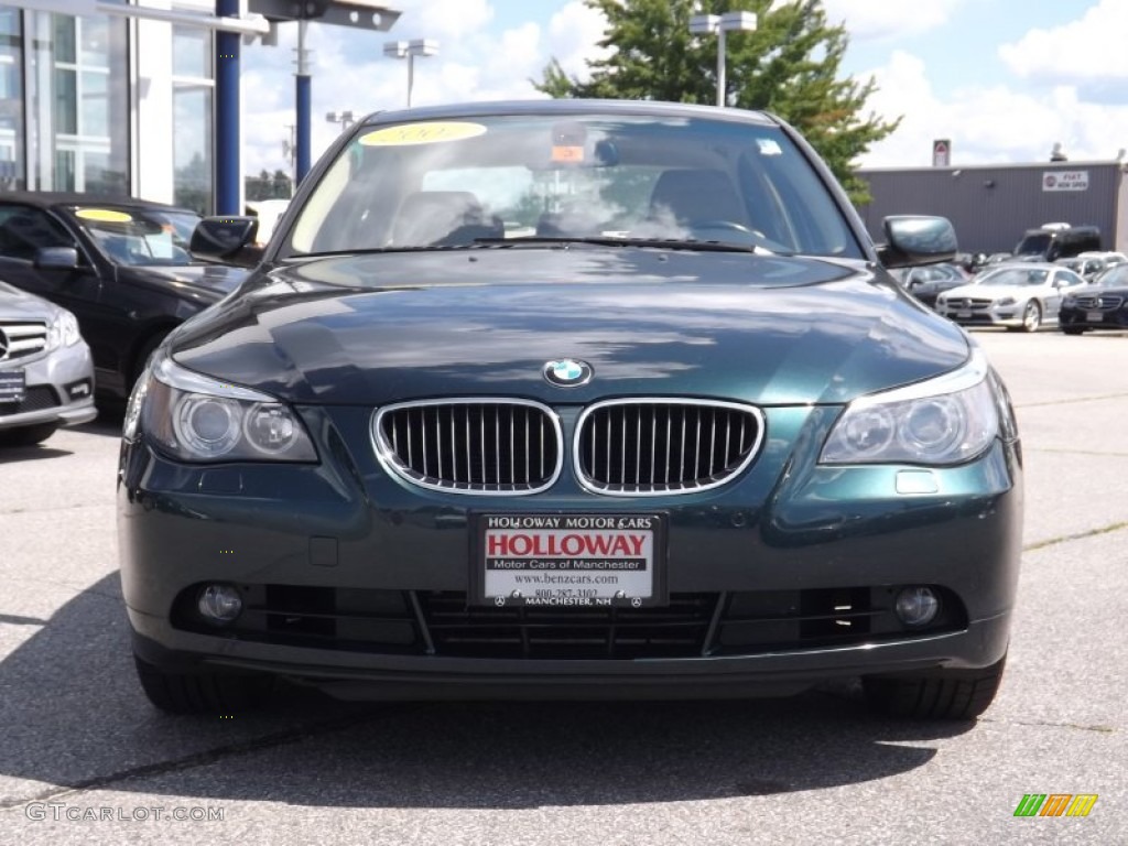 2007 5 Series 525xi Sedan - Deep Green Metallic / Beige photo #2