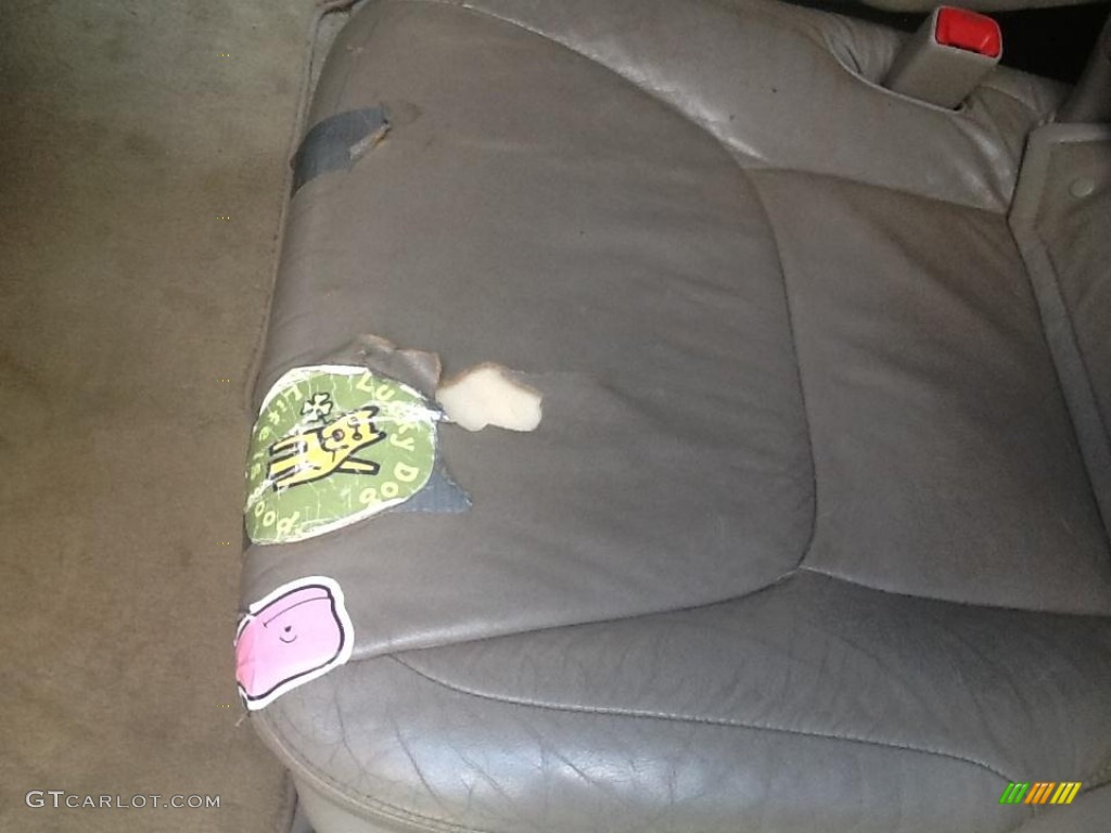 2006 Sienna Limited - Nautical Blue Metallic / Taupe photo #10