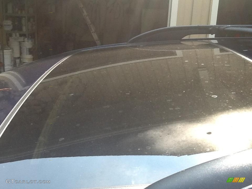 2006 Sienna Limited - Nautical Blue Metallic / Taupe photo #11