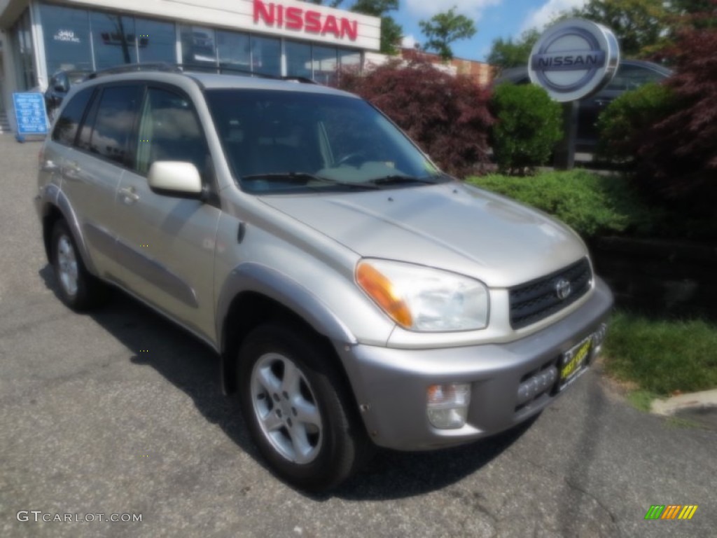 2001 RAV4 4WD - Vintage Gold / Oak photo #1