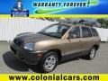 2004 Sandstone Hyundai Santa Fe GLS #84136125