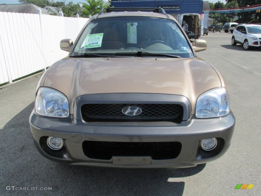 2004 Santa Fe GLS - Sandstone / Beige photo #5