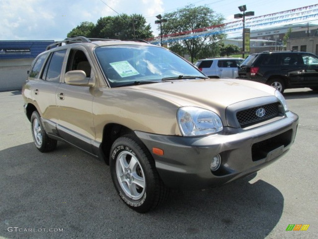 2004 Santa Fe GLS - Sandstone / Beige photo #6