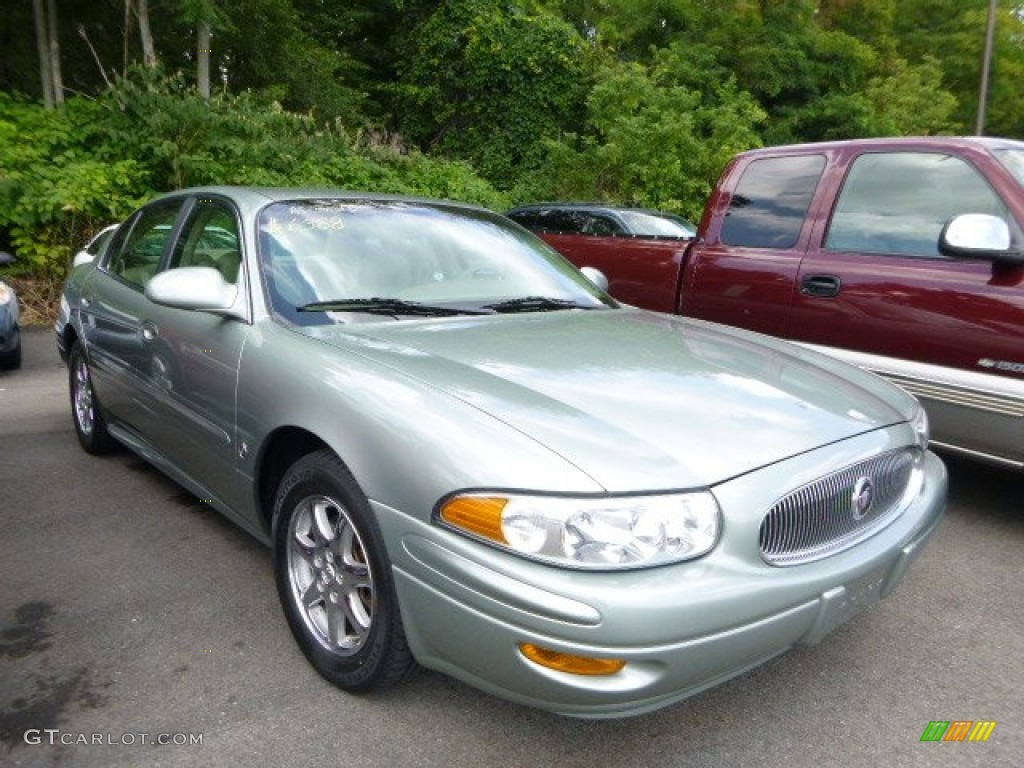 2005 LeSabre Custom - Sagemist Green Metallic / Light Cashmere photo #1