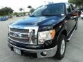 Ebony Black - F150 XLT SuperCrew 4x4 Photo No. 14