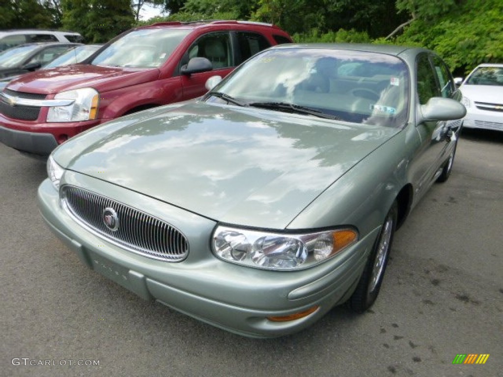 2005 LeSabre Custom - Sagemist Green Metallic / Light Cashmere photo #5