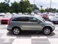 2011 Opal Sage Metallic Honda CR-V EX  photo #3