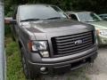 Sterling Grey Metallic 2011 Ford F150 FX4 SuperCab 4x4