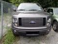 Sterling Grey Metallic - F150 FX4 SuperCab 4x4 Photo No. 2