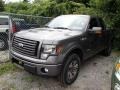 2011 Sterling Grey Metallic Ford F150 FX4 SuperCab 4x4  photo #3