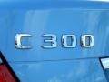 2010 Mercedes-Benz C 300 Luxury Marks and Logos