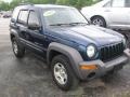 Patriot Blue Pearl 2003 Jeep Liberty Sport 4x4