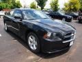 Pitch Black - Charger SE Photo No. 2