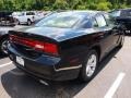 Pitch Black - Charger SE Photo No. 3