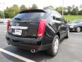 Black Raven - SRX Luxury FWD Photo No. 5
