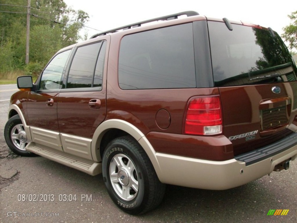 2006 Expedition Eddie Bauer 4x4 - Dark Copper Metallic / Medium Parchment photo #5