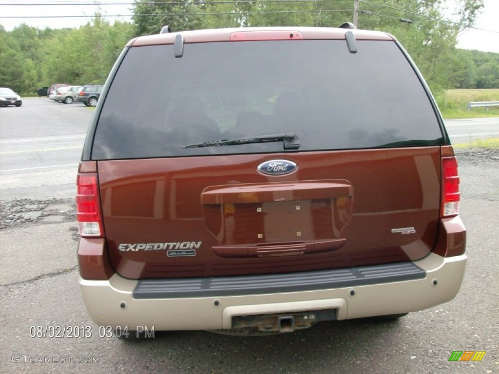 2006 Expedition Eddie Bauer 4x4 - Dark Copper Metallic / Medium Parchment photo #6