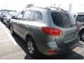 2009 Natural Khaki Hyundai Santa Fe GLS 4WD  photo #3