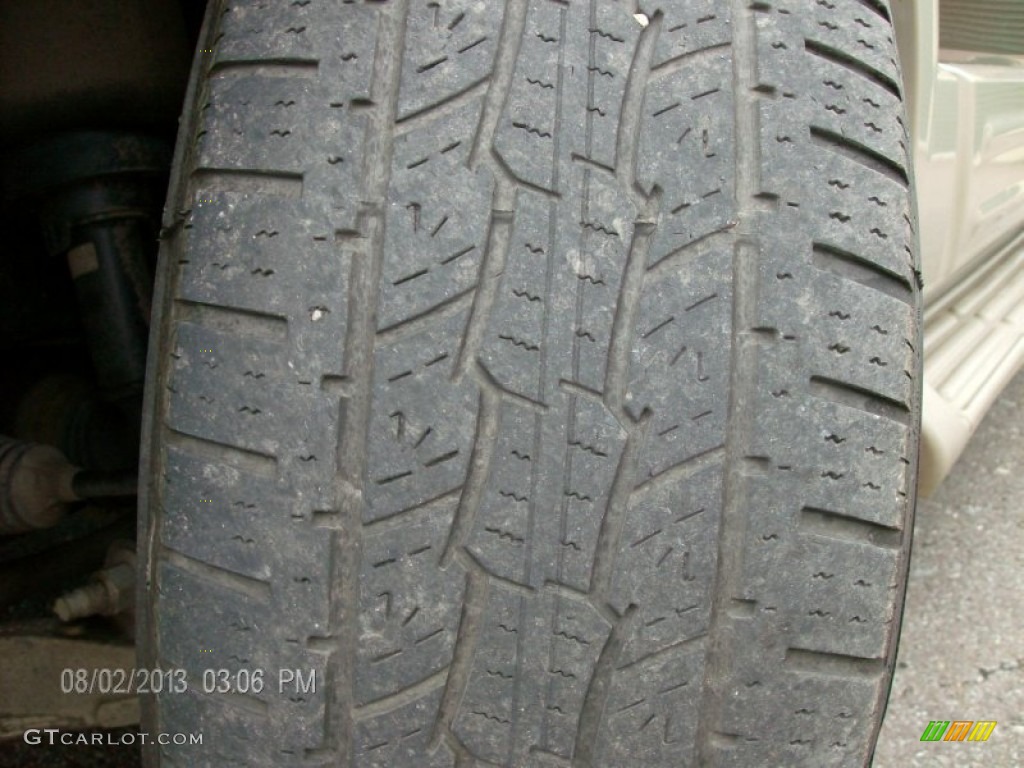 2006 Expedition Eddie Bauer 4x4 - Dark Copper Metallic / Medium Parchment photo #16