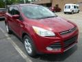 Ruby Red 2014 Ford Escape Gallery