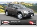 2013 Pyrite Mica Toyota RAV4 LE AWD  photo #1