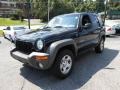 Black Clearcoat - Liberty Sport 4x4 Photo No. 3
