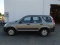 2005 Silver Moss Metallic Honda CR-V LX 4WD  photo #1