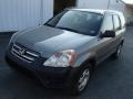 2005 Silver Moss Metallic Honda CR-V LX 4WD  photo #2