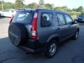 2005 Silver Moss Metallic Honda CR-V LX 4WD  photo #5