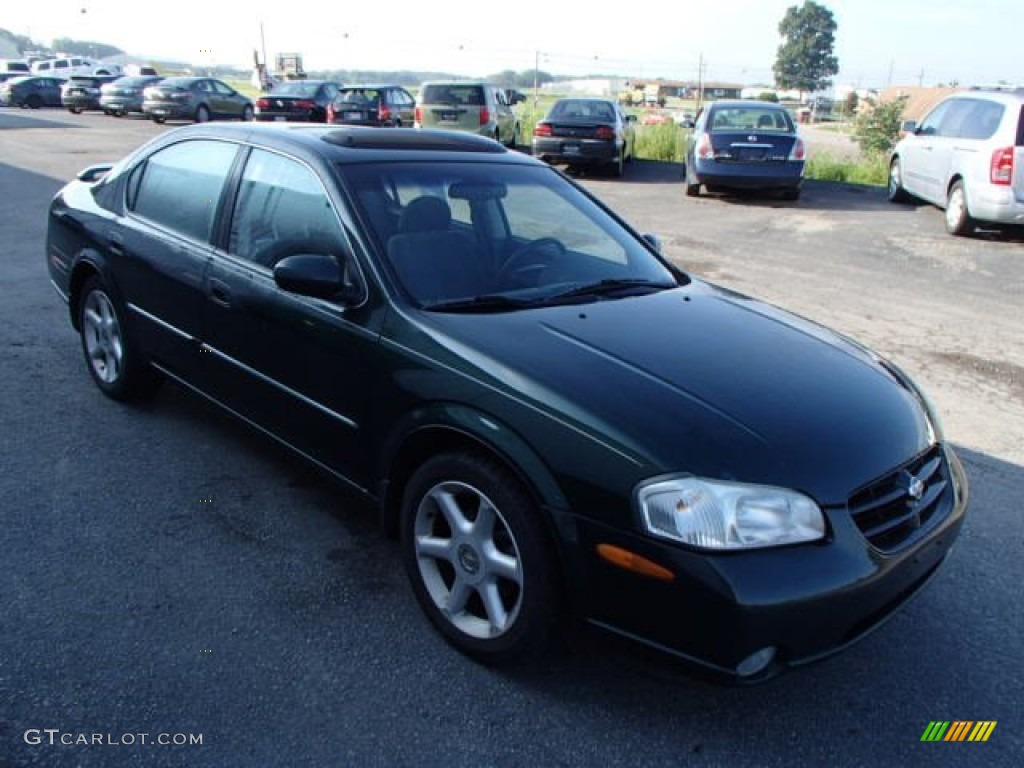 2001 Maxima SE - Sherwood Green Metallic / Frost photo #4