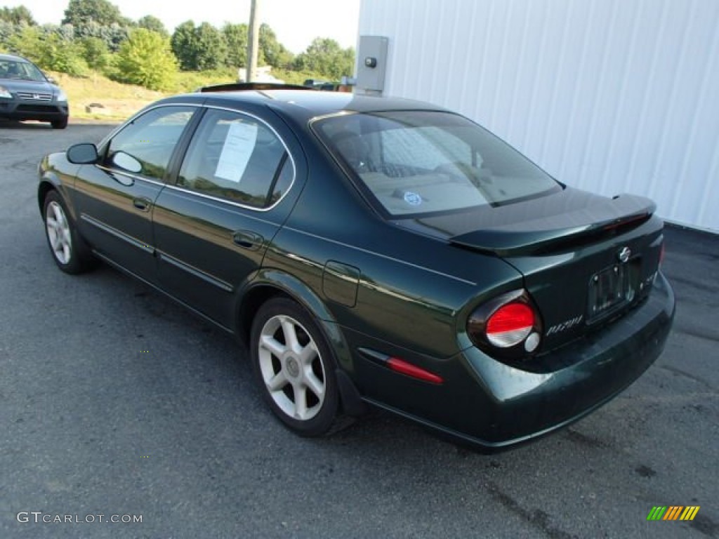 2001 Maxima SE - Sherwood Green Metallic / Frost photo #6