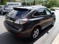 2010 Truffle Brown Mica Lexus RX 350 AWD  photo #5