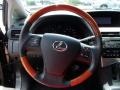 2010 Truffle Brown Mica Lexus RX 350 AWD  photo #17
