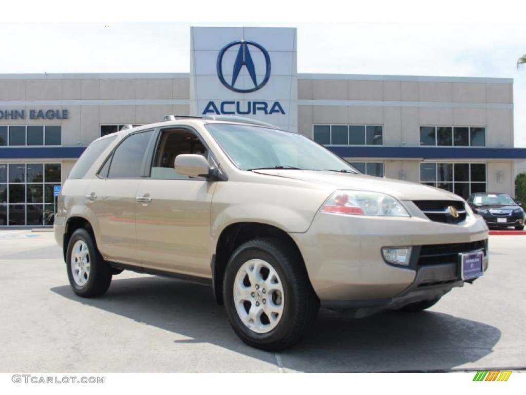 2001 MDX Touring - Mesa Beige Metallic / Saddle photo #1