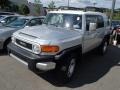 Titanium Metallic - FJ Cruiser 4WD Photo No. 3