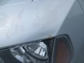 Bright Silver Metallic - Charger SE Photo No. 10