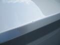 Bright Silver Metallic - Charger SE Photo No. 20