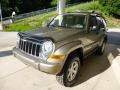 2005 Light Khaki Metallic Jeep Liberty Limited 4x4  photo #5