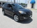 2014 Tuxedo Black Ford Escape Titanium 2.0L EcoBoost  photo #7