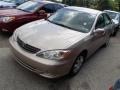 Desert Sand Mica - Camry LE Photo No. 3