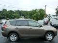 Pyrite Metallic 2011 Toyota RAV4 I4 4WD Exterior