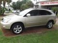 Savannah Beige Metallic - RX 330 Photo No. 2
